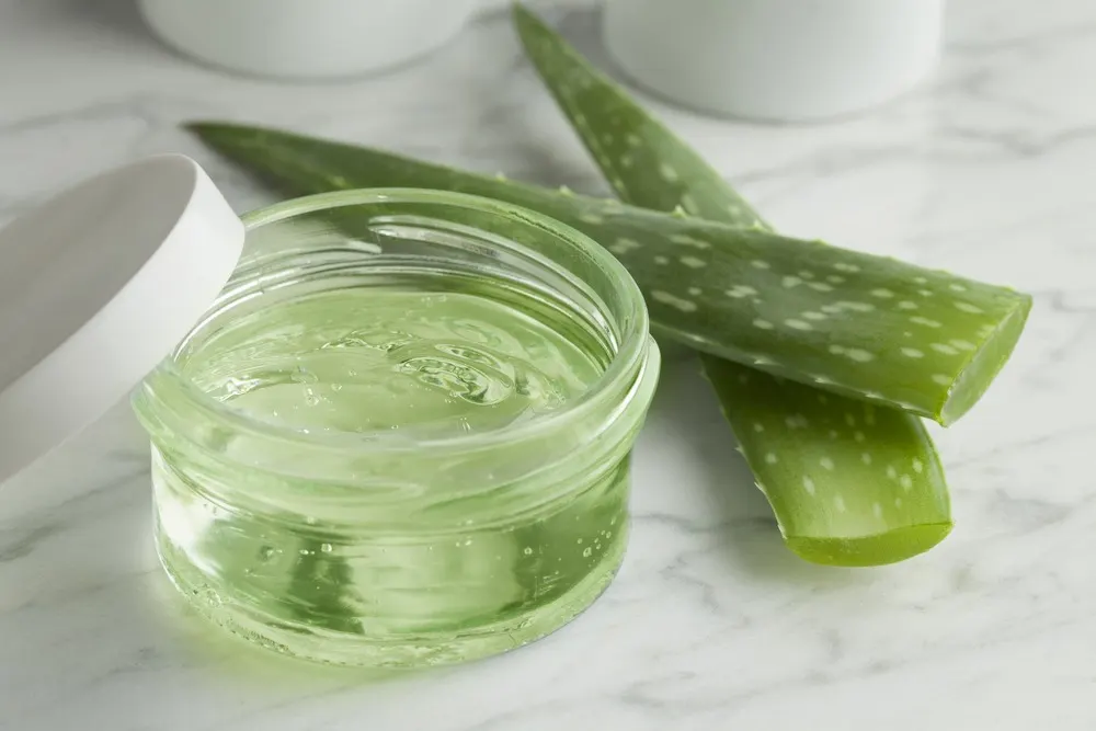 aloe vera