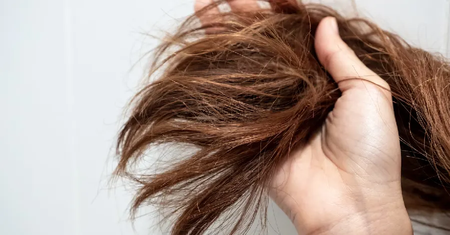 Rambut Makin Kering & Mudah Patah