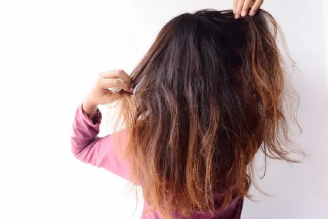 Perbedaan Rambut Kering dan Rusak: Jangan Sampai Salah Tangani!